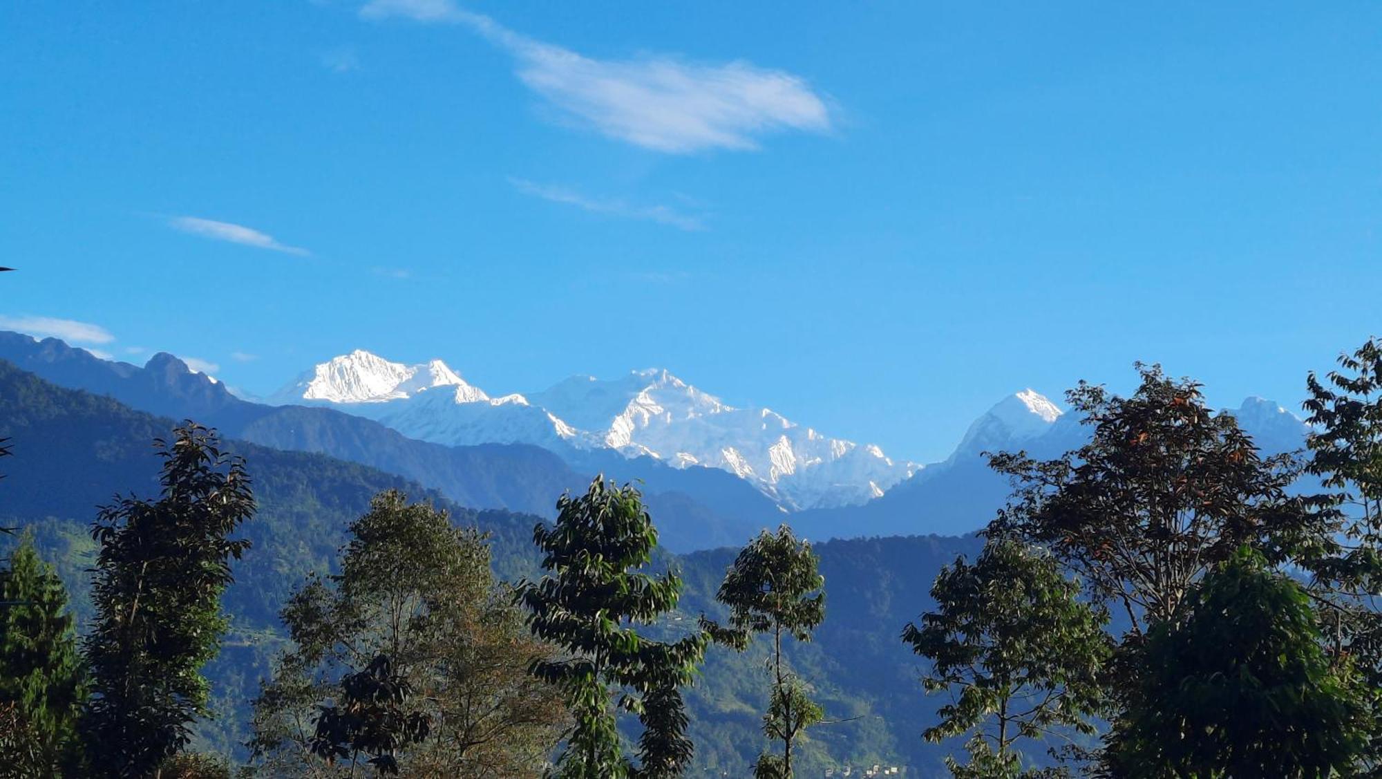 Red Panda Jungle Camp - A Unit Of Davinchi Homes Pvt Ltd Gyalshing Exterior photo
